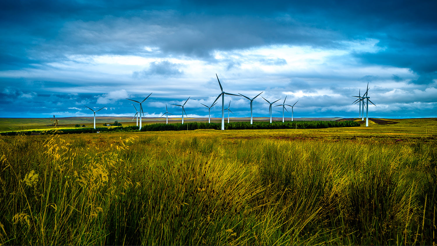 Wind turbines standing across open grassland under a dramatic sky, representing climate and energy policy