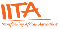 IITA logo